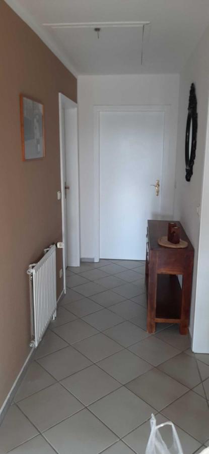 Ferienwohnung Bluetenblick Bachenbrock Eksteriør bilde